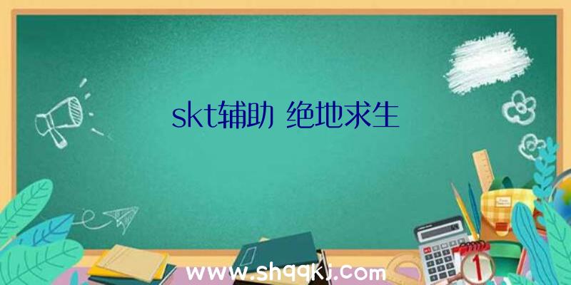 skt辅助